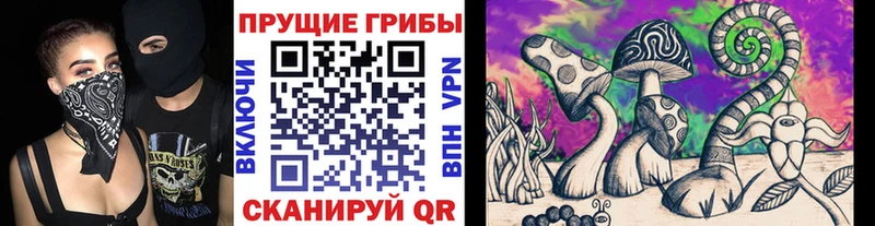 Галлюциногенные грибы мицелий Купить Киренск